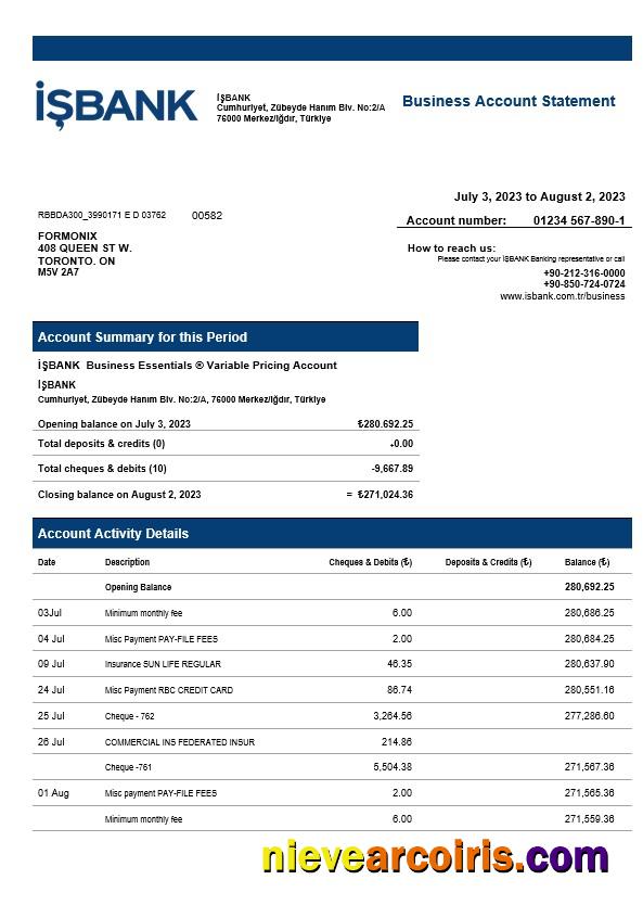 İşbank corporate checking account statement